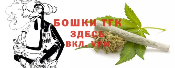 дурь Алексин