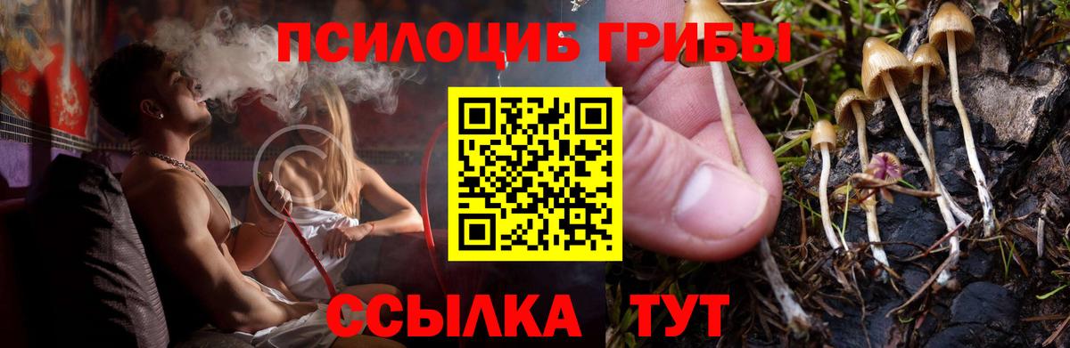Псилоцибиновые грибы мухоморы  Псилоцибиновые грибы Cubensis  Вход с VPN  купить  цена  Феодосия 